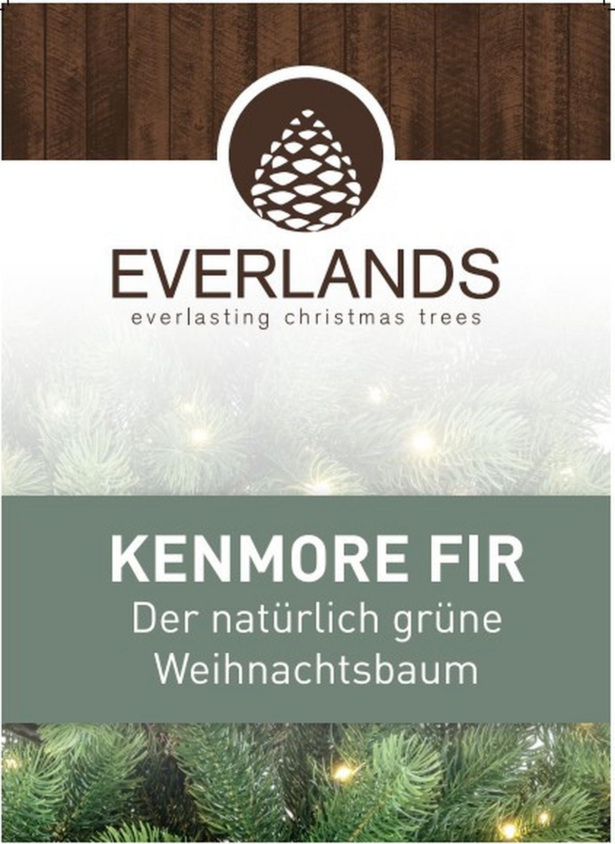 CHOINKA KENMORE TANNE - zielony, Basics, tworzywo sztuczne/metal (120/210cm) - X-Mas