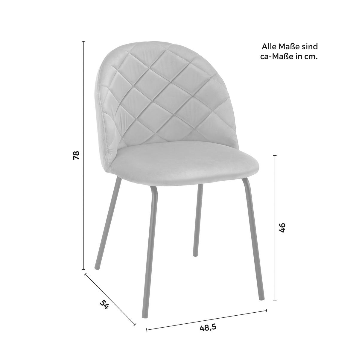 Stol Selina, Siva, Žamet - siva/črna, Moderno, kovina/tekstil (48,5/78/54cm) - Bessagi Home