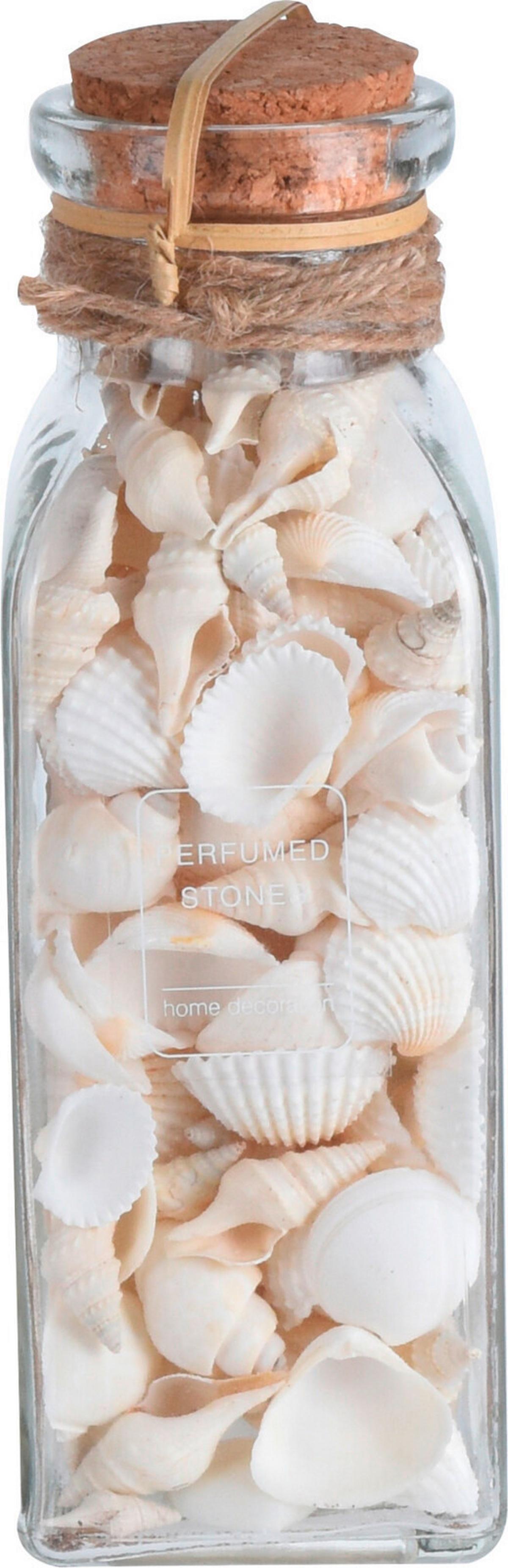 Dekor Kagyló Shellby - természetes anyagok (6/6/19cm)