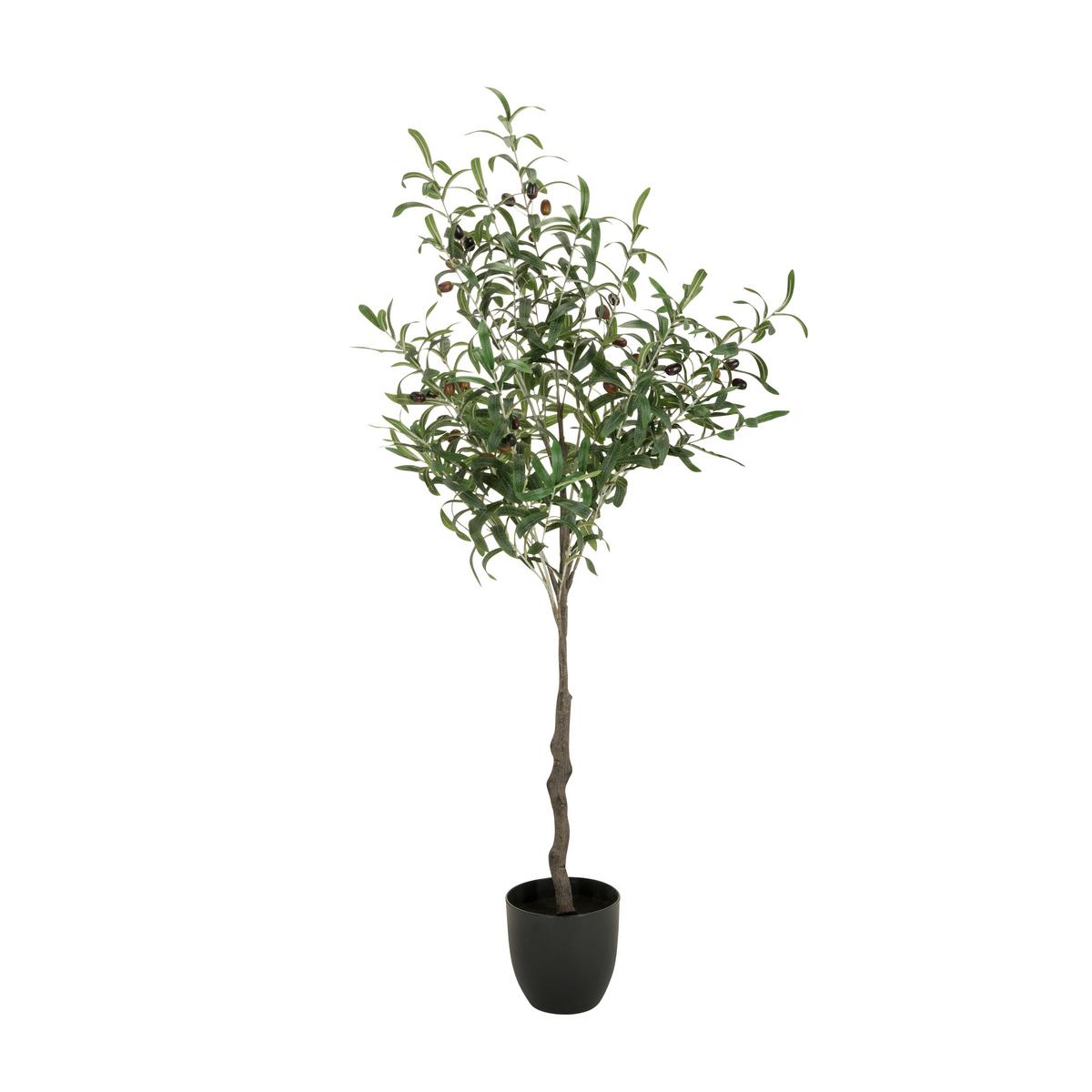 Umetna Rastlina Olive - črna/zelena, Basics, umetna masa (45/120/45cm) - MID.YOU