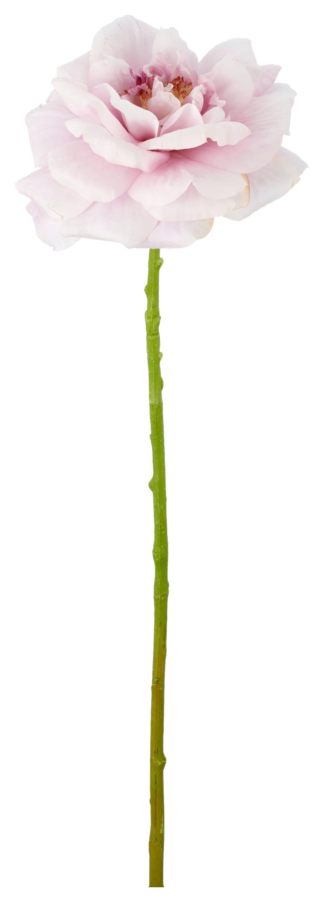 Rose II Grün/Helllila - Lila/Grün, Basics, Kunststoff/Textil (63cm) - Mömax