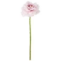 Rose II Grün/Helllila - Lila/Grün, Basics, Kunststoff/Textil (63cm) - Mömax