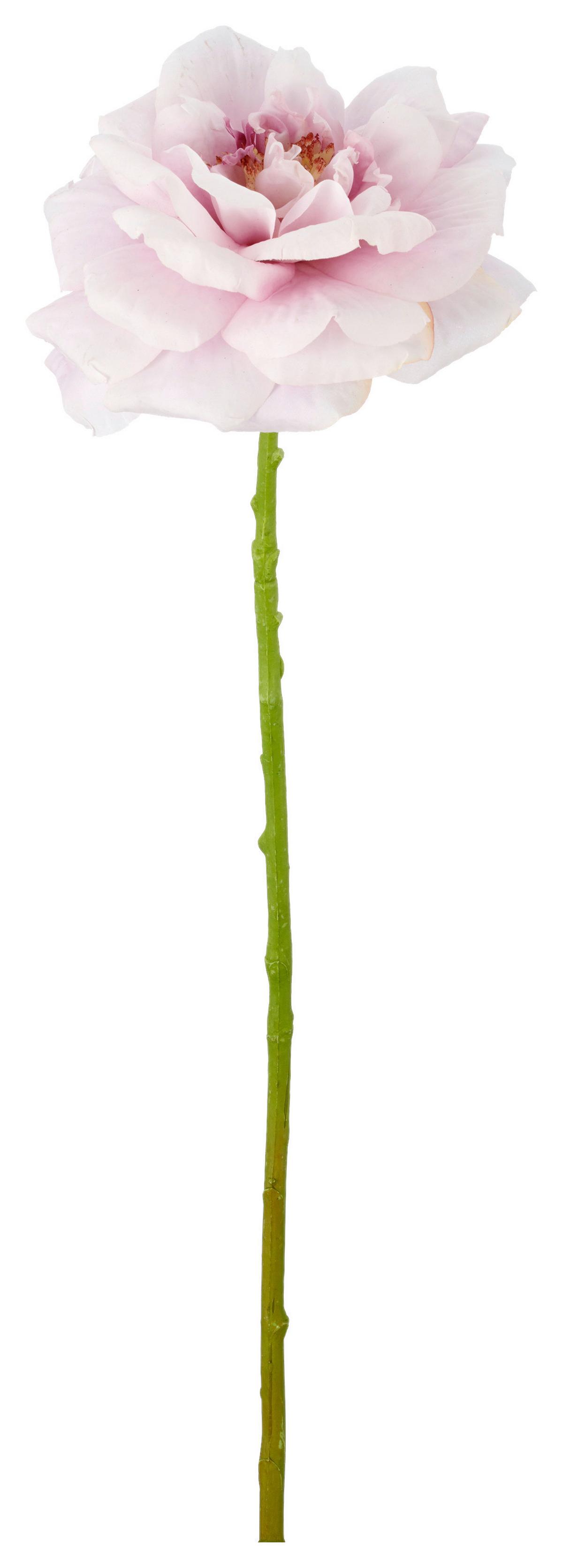 Rose II Grün/Helllila - Lila/Grün, Basics, Kunststoff/Textil (63cm) - Mömax