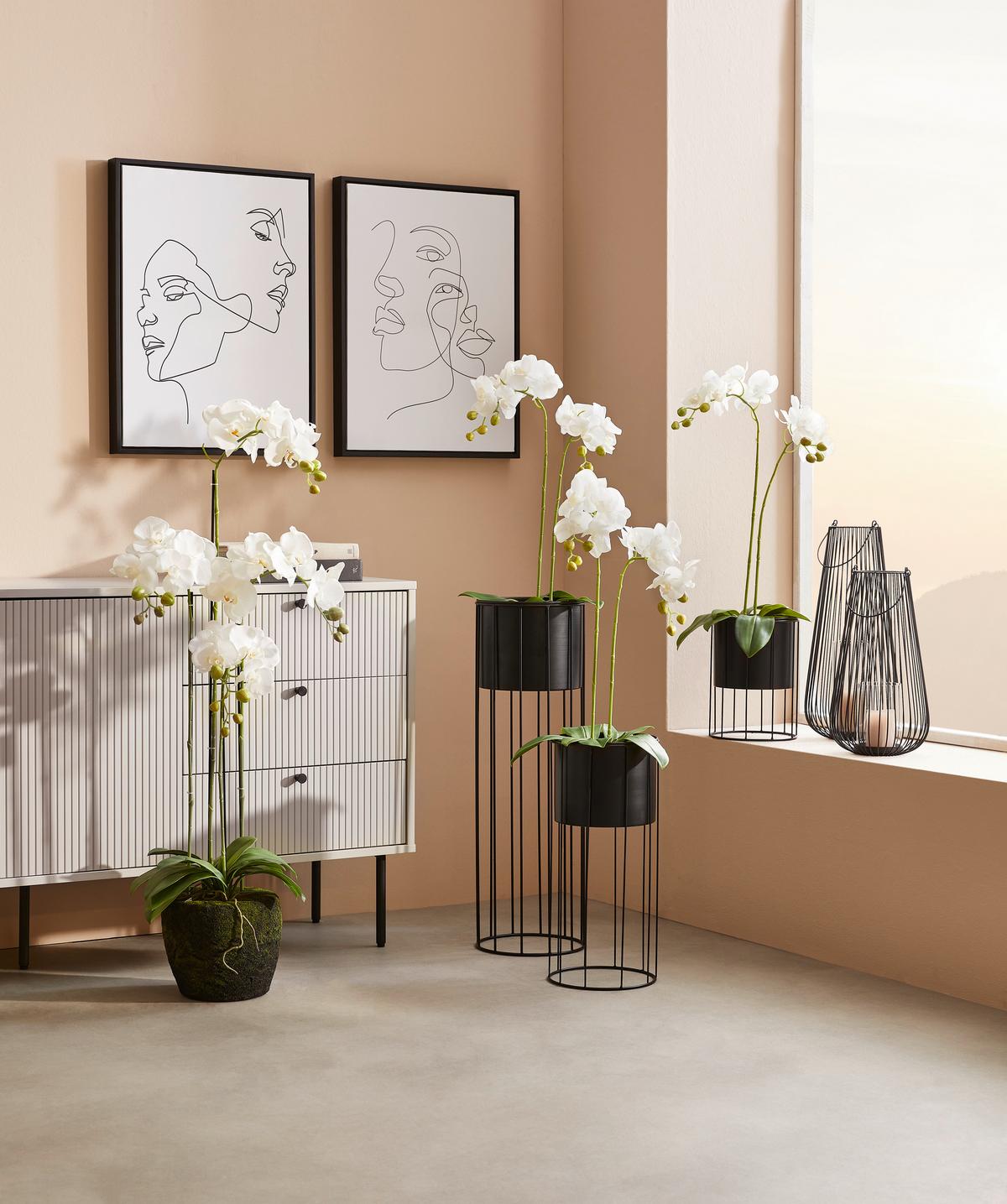 LATARNIA NEW INDUSTRY - czarny, Trend, metal/szkło (19,5/45,5cm) - Ambia Home