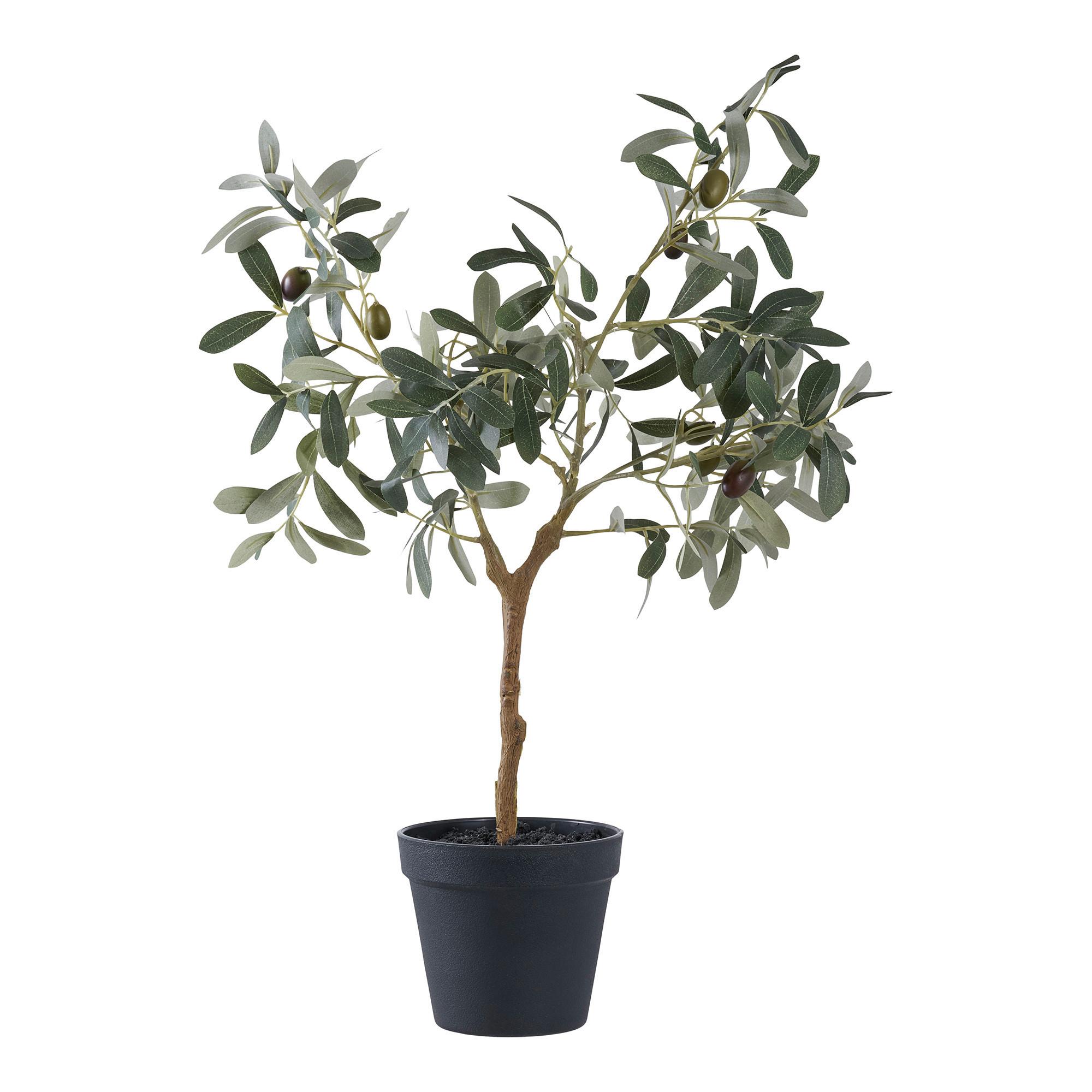 Kunstpflanze Olive Tree Grün - Grün, Design (22.5/61/36.5cm)