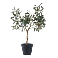 Kunstpflanze Olive Tree Grün - Grün, Design (22.5/61/36.5cm)