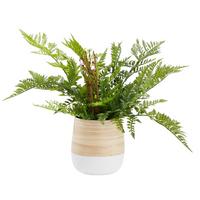 Ghiveci decorativ Naturelle - alb/culoare natur, Konventionell, materiale naturale (12/13cm) - Zandiara
