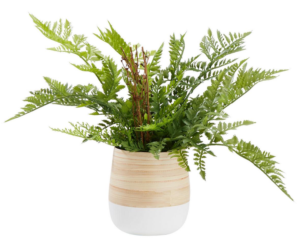 Ghiveci decorativ Naturelle - alb/culoare natur, Konventionell, materiale naturale (12/13cm) - Zandiara