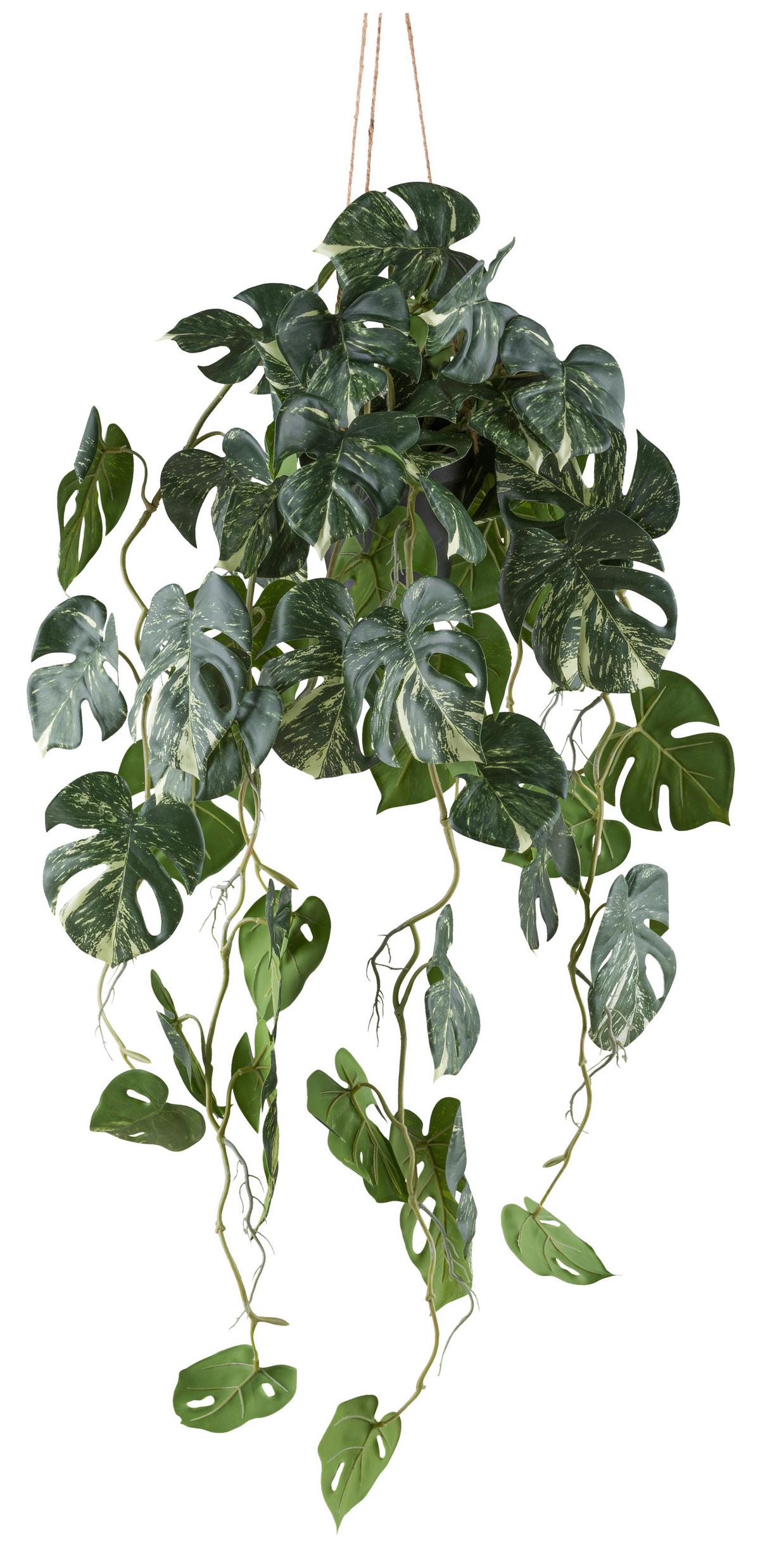 Kunstpflanze Splitphilodendron II Grün/Weiß - Schwarz/Weiß, KONVENTIONELL, Kunststoff (80cm) - Mömax