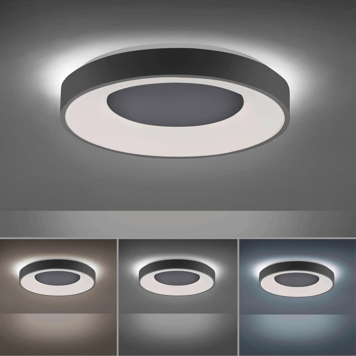 LED-Deckenleuchte Anika max. 30 Watt - Anthrazit, Basics, Kunststoff/Metall (48/7,8cm)