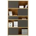 Regal Eichefarben - Eichefarben/Anthrazit, MODERN, Holzwerkstoff/Kunststoff (116,6/199,8/37cm) - PREMIUM LIVING