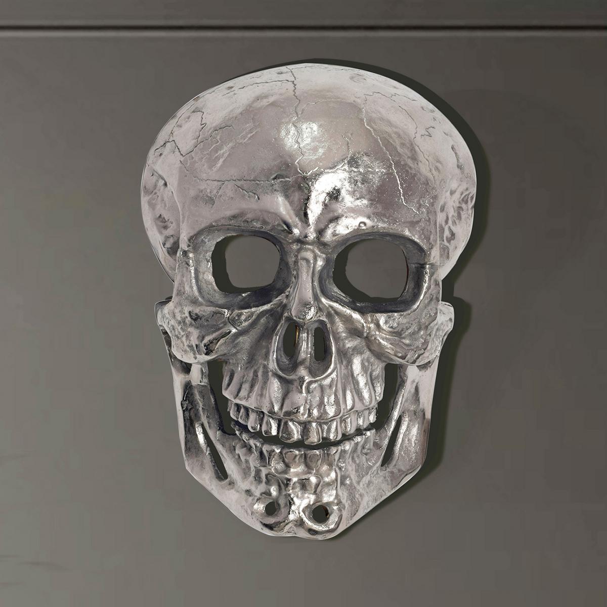 Stenska Dekoracija Skull - srebrne barve, Design, kovina (30/41/15,5cm) - Livetastic