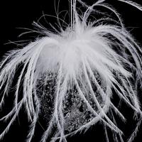 Glob de Crăciun cca. 6 cm Feathers - străveziu, Modern, sticlă/textil (6/6,7cm)