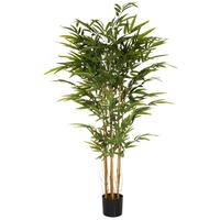 Umetna Rastlina Bambus Ii - črna/barve hrasta, Moderno, umetna masa/tekstil (80/150/80cm) - MID.YOU