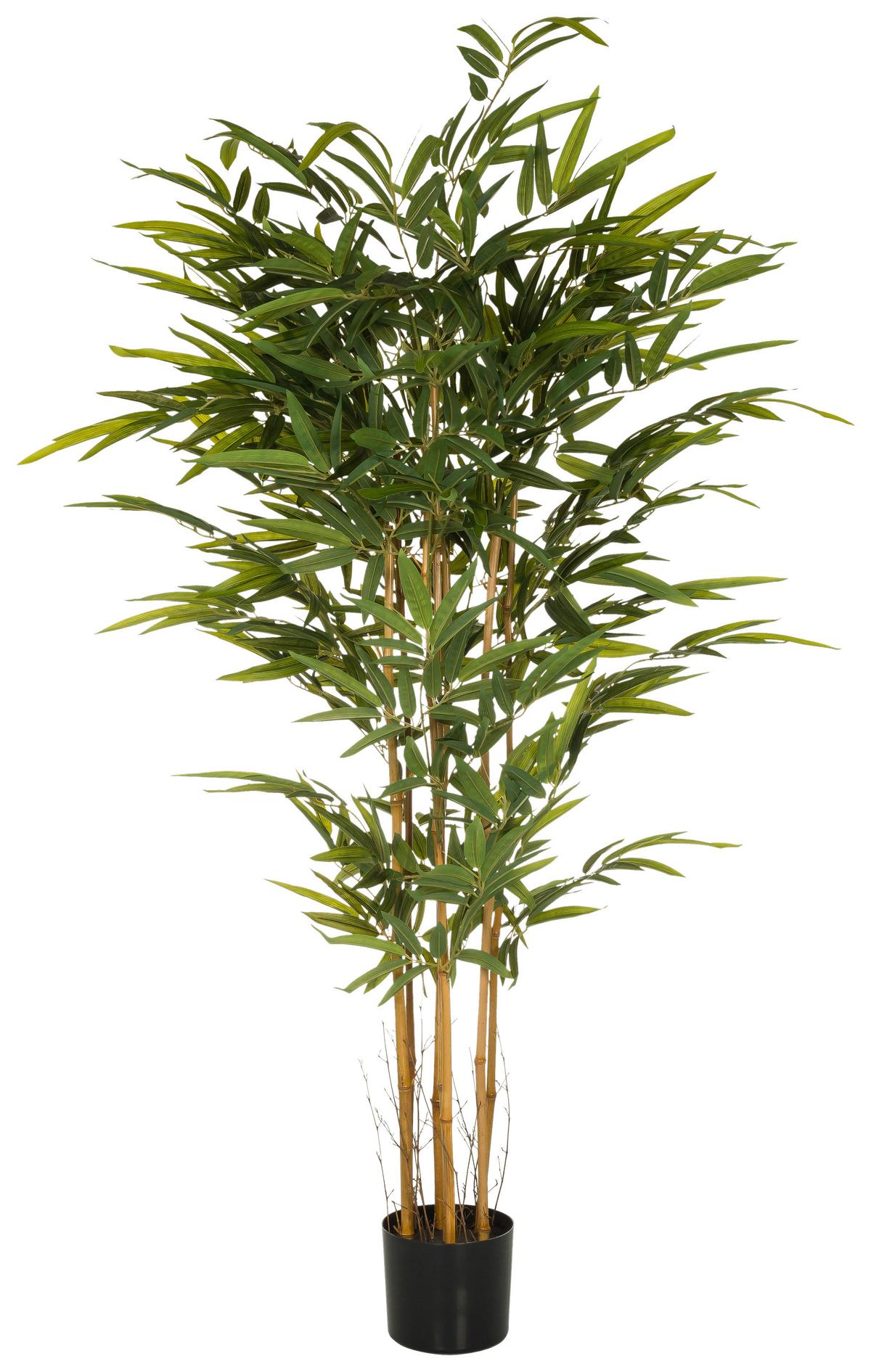 Umetna Rastlina Bambus Ii - črna/barve hrasta, Moderno, umetna masa/tekstil (80/150/80cm) - MID.YOU