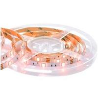 Svetlobni Trak Led Band, 3m - Basics, umetna masa (300/1/0.3cm) - Globo