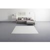 TAPIS TISSÉ À PLAT NATUREL 3 - blanc, MODERN, textile (200/250cm) - Modern Living