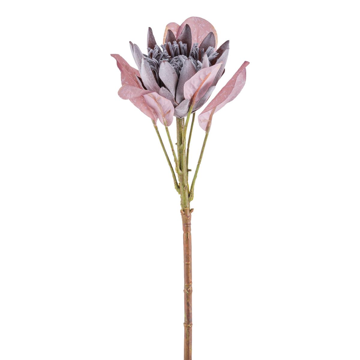 Ramură decorativă Protea II - lila/verde, Konventionell, plastic (52cm) - Modern Living