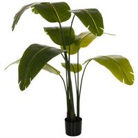 Umetna Rastlina Banana - črna/zelena, Basics, umetna masa (60/170/60cm) - MID.YOU