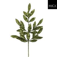 Okrasna Vejica List - Moderno (60cm) - Mömax