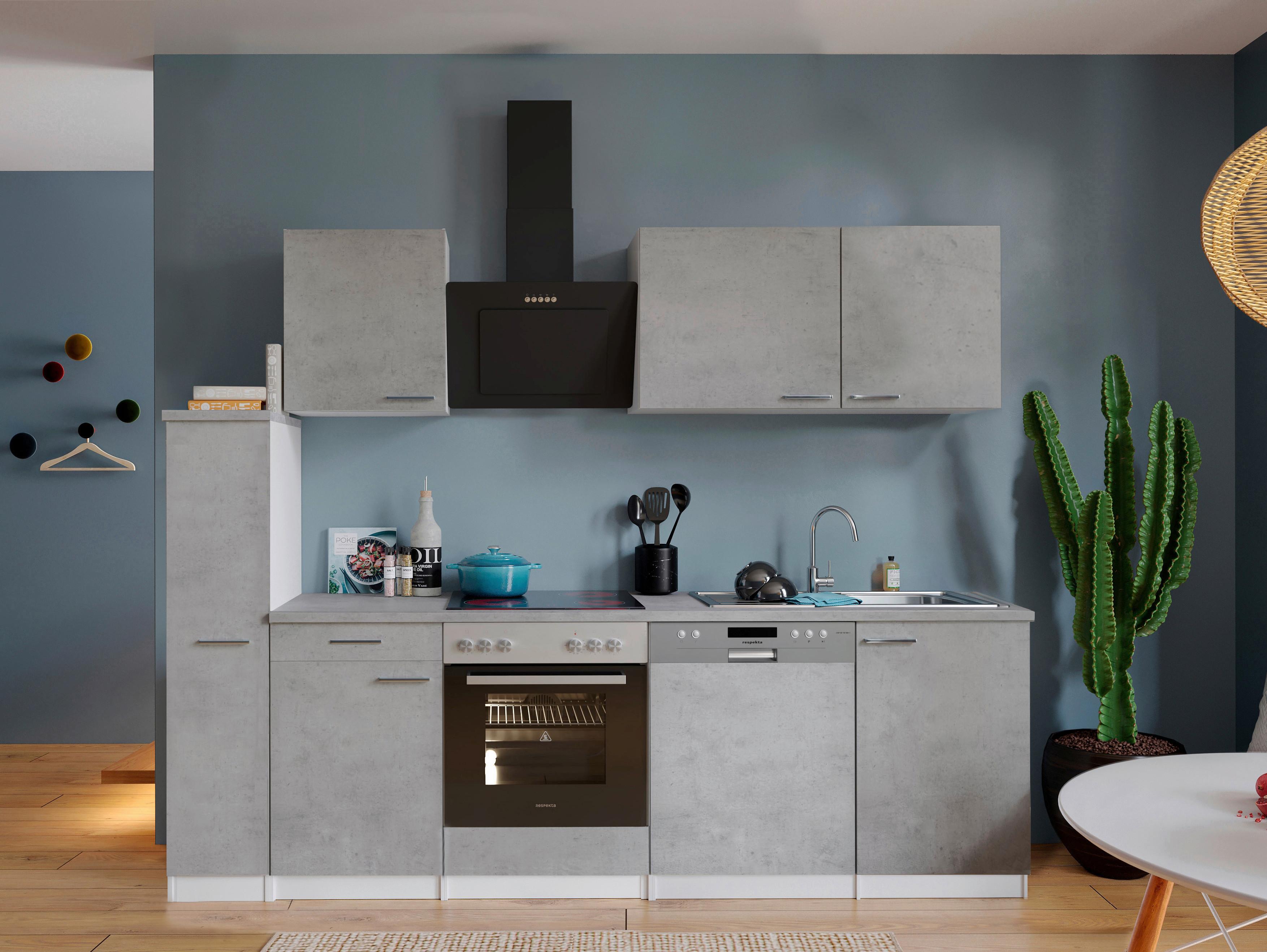 Kuhinjski Blok Z Aparati Malia, 250cm - barve nerjavečega jekla/siva, Basics, kovina/leseni material (250cm) - Respekta