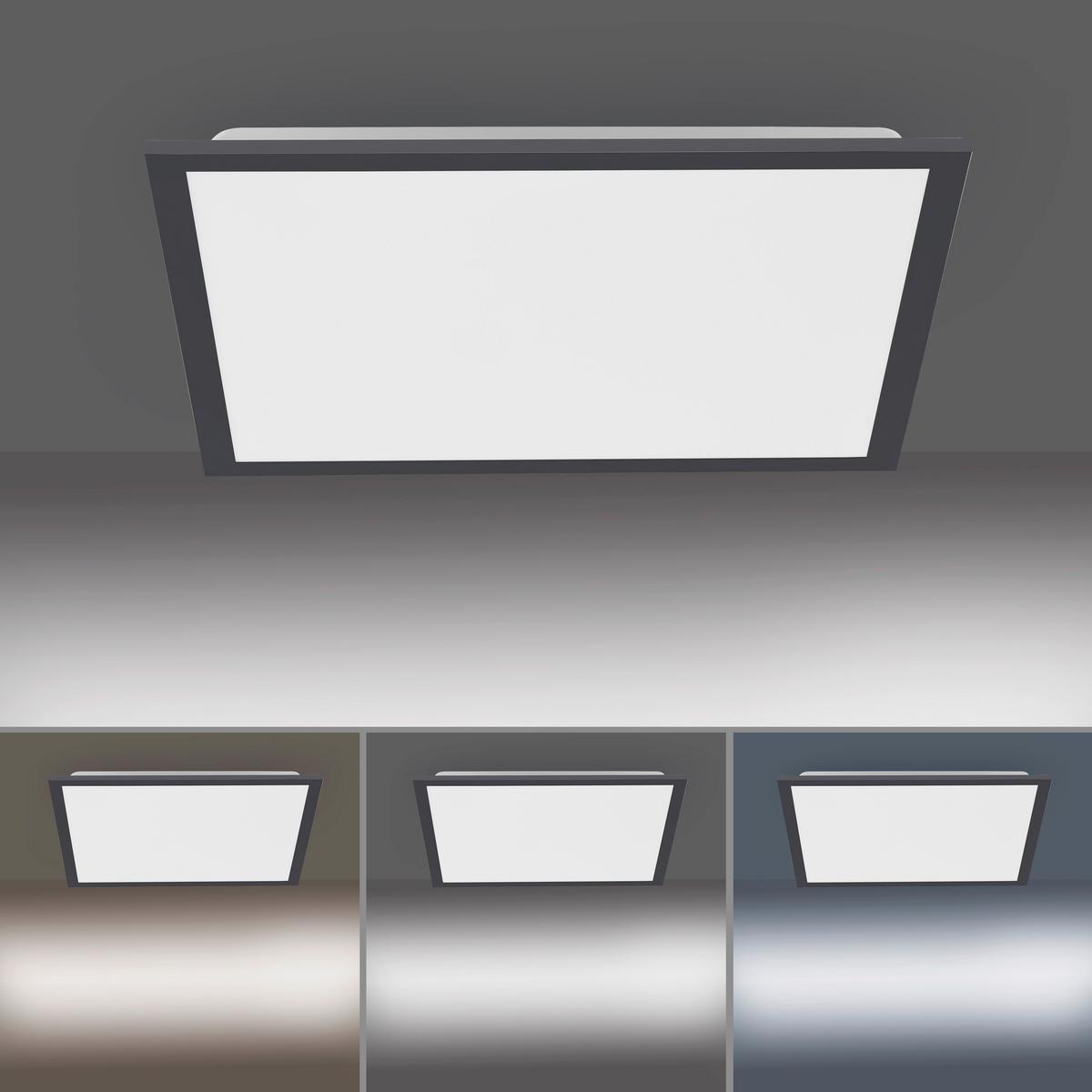 LED-Deckenleuchte Flat max. 23,5 Watt - Schwarz, Basics, Kunststoff/Metall (44,5/44,5/7cm)