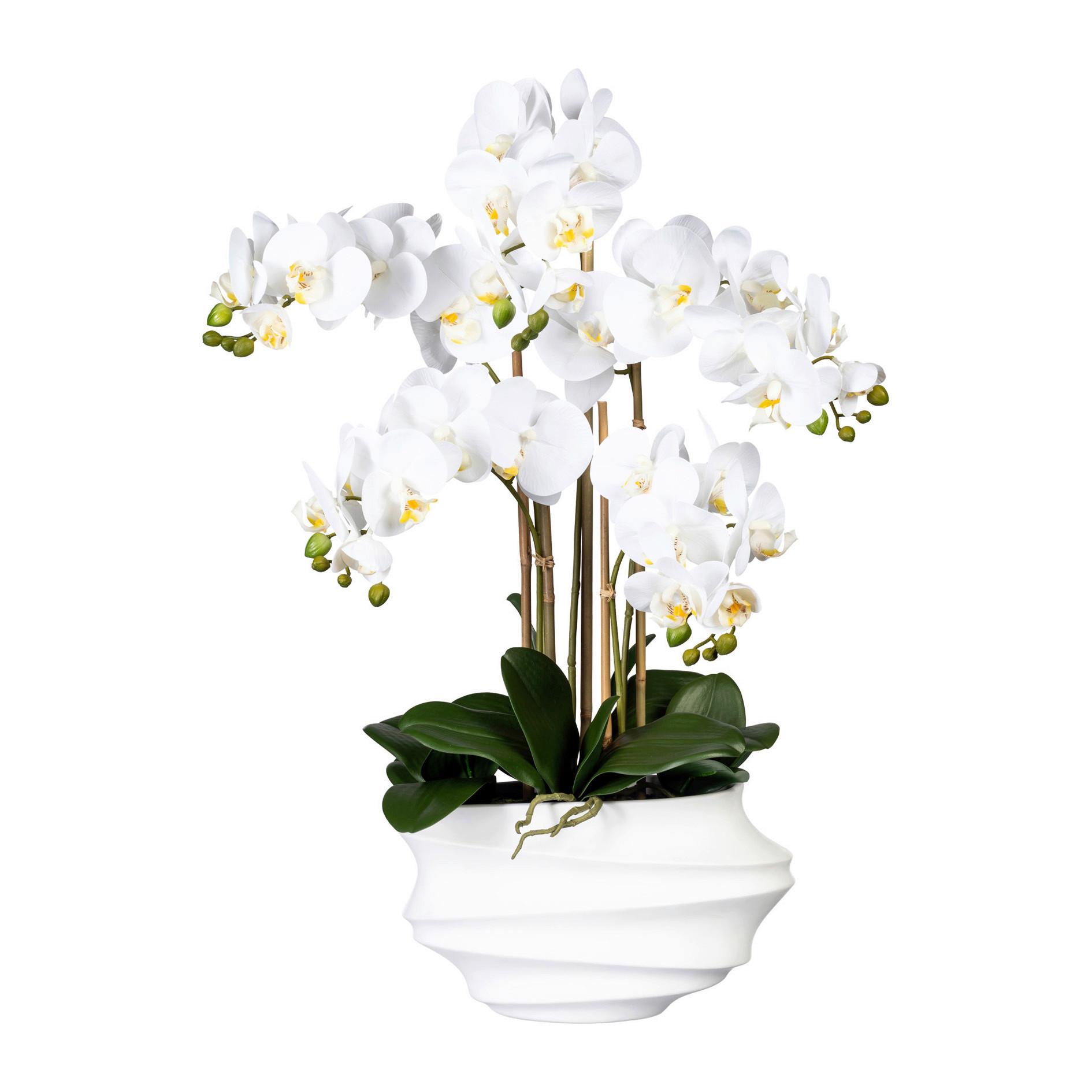 Kunstblume Orchidee, ca. 75cm - Weiß/Braun, Trend, Kunststoff (75cm) - P & B