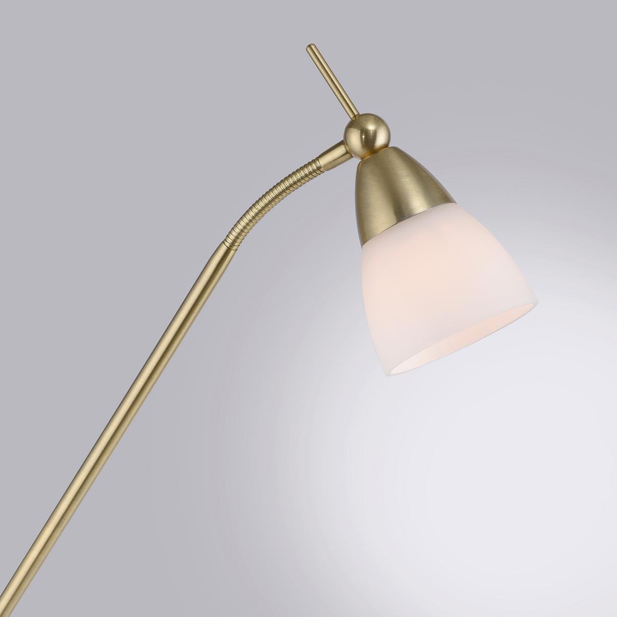 LED-Stehleuchte Pino Dimmbar max. 2,6 Watt - Basics (74/74/163cm) - Paul Neuhaus