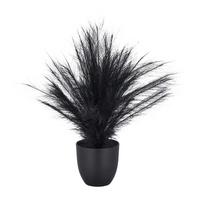 Kunstpflanze Pampasgras II Schwarz - Schwarz, Basics, Kunststoff (14,5/63cm) - Mömax
