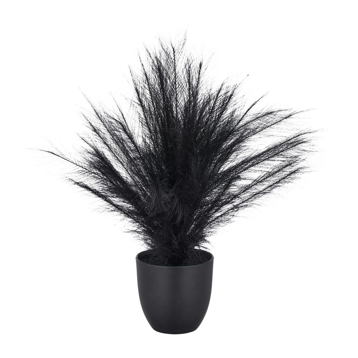 Kunstpflanze Pampasgras II Schwarz - Schwarz, Basics, Kunststoff (14,5/63cm) - Mömax