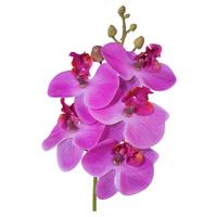 Plantă artificială PHALAENOPSIS II -PAZ- - roz aprins/verde, Konventionell, plastic (27cm) - Modern Living