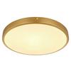 Stropna Led-svetilka 12381-22 - opal/barve medenine, Konvencionalno, kovina/umetna masa (35/3cm) - Globo