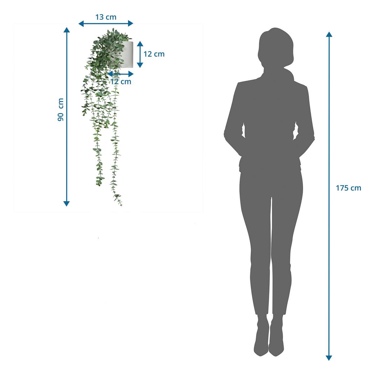 Umetna Rastlina Eucalyptus Climb - zelena/bela, Moderno, umetna masa (67/155/60cm) - MID.YOU