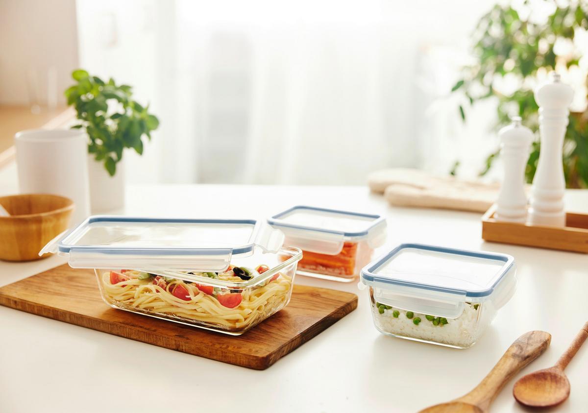 ZESTAW POJEMNIKÓW DO ŻYWNOŚCI 1051406161 3 SZT - Basics (24/16,5/22,8cm) - Rotho