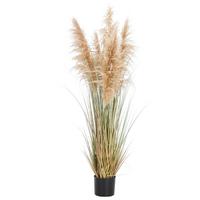 TRAWA DEKORACYJNA B0202-LBR-BEG5 - brązowy, Natur, tworzywo sztuczne/metal (150cm) - Ambia Home