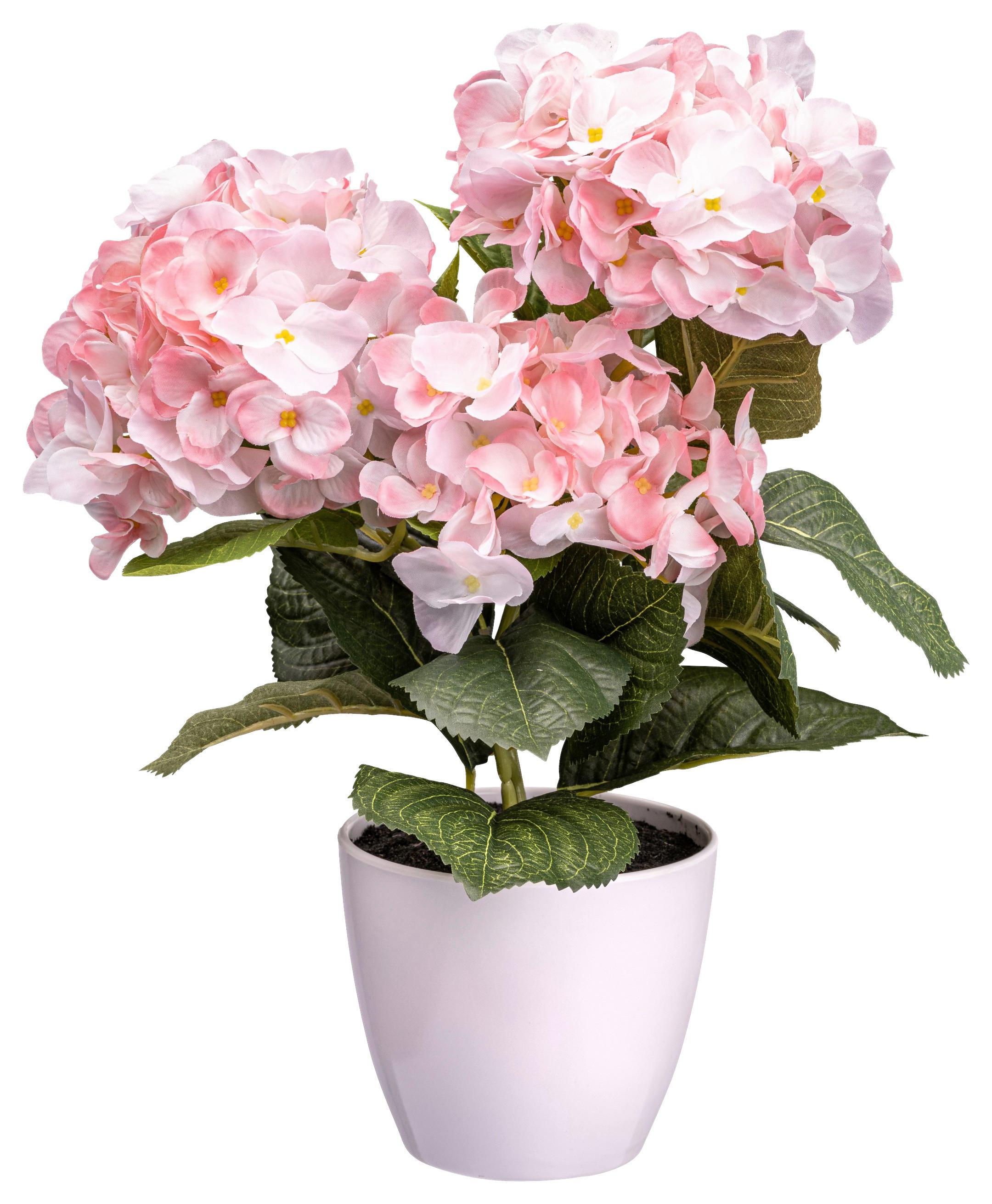 Kunstpflanze Begonienbusch I in Grün - Dunkelrosa/Creme, KONVENTIONELL, Kunststoff (32cm) - Modern Living