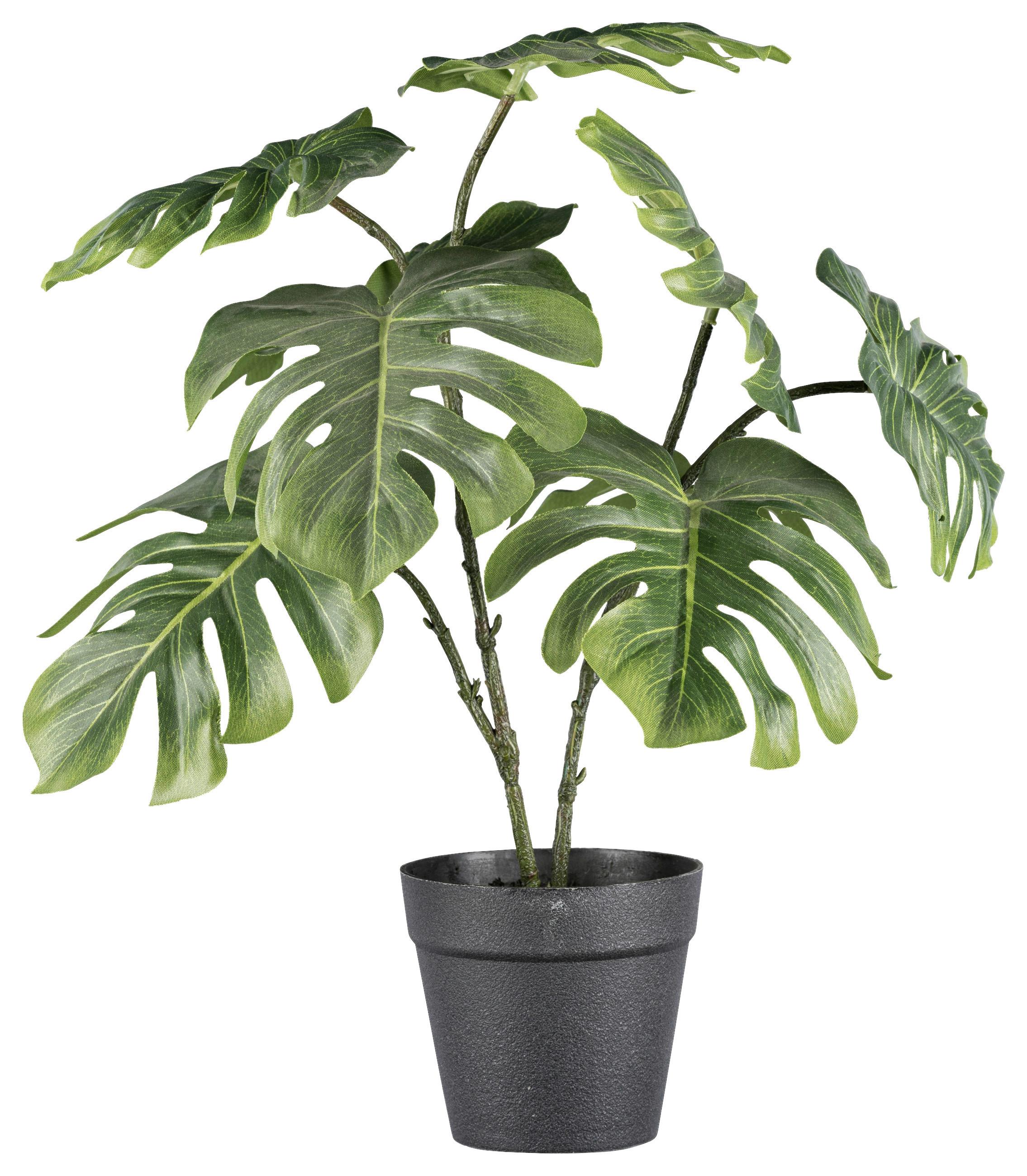 Kunstpflanze Splitphilo II in Grün ca. 41cm - Schwarz/Braun, Basics, Kunststoff (41cm)