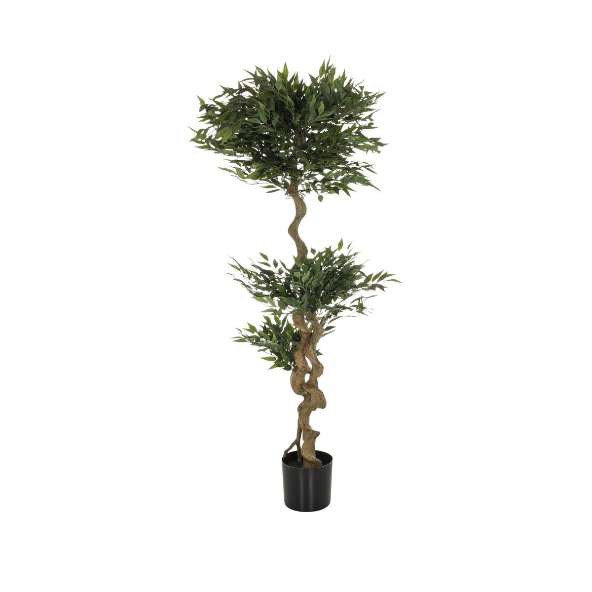 Umetna Rastlina Acacia - črna/zelena, Basics, umetna masa/tekstil (45/155/45cm) - MID.YOU
