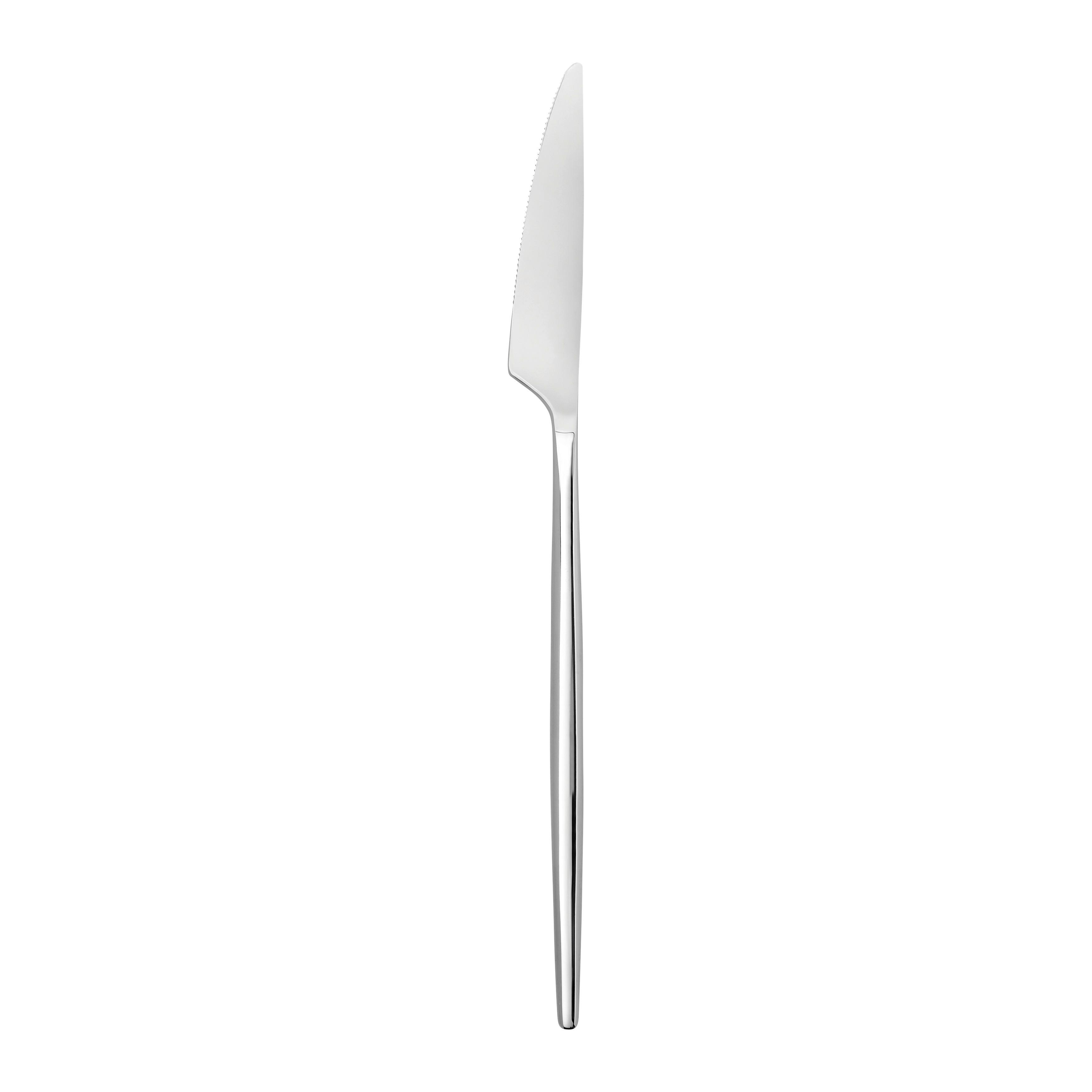 Messer Elegance Edelstahlfarben - Edelstahlfarben, Modern, Metall (23,2cm) - Mömax