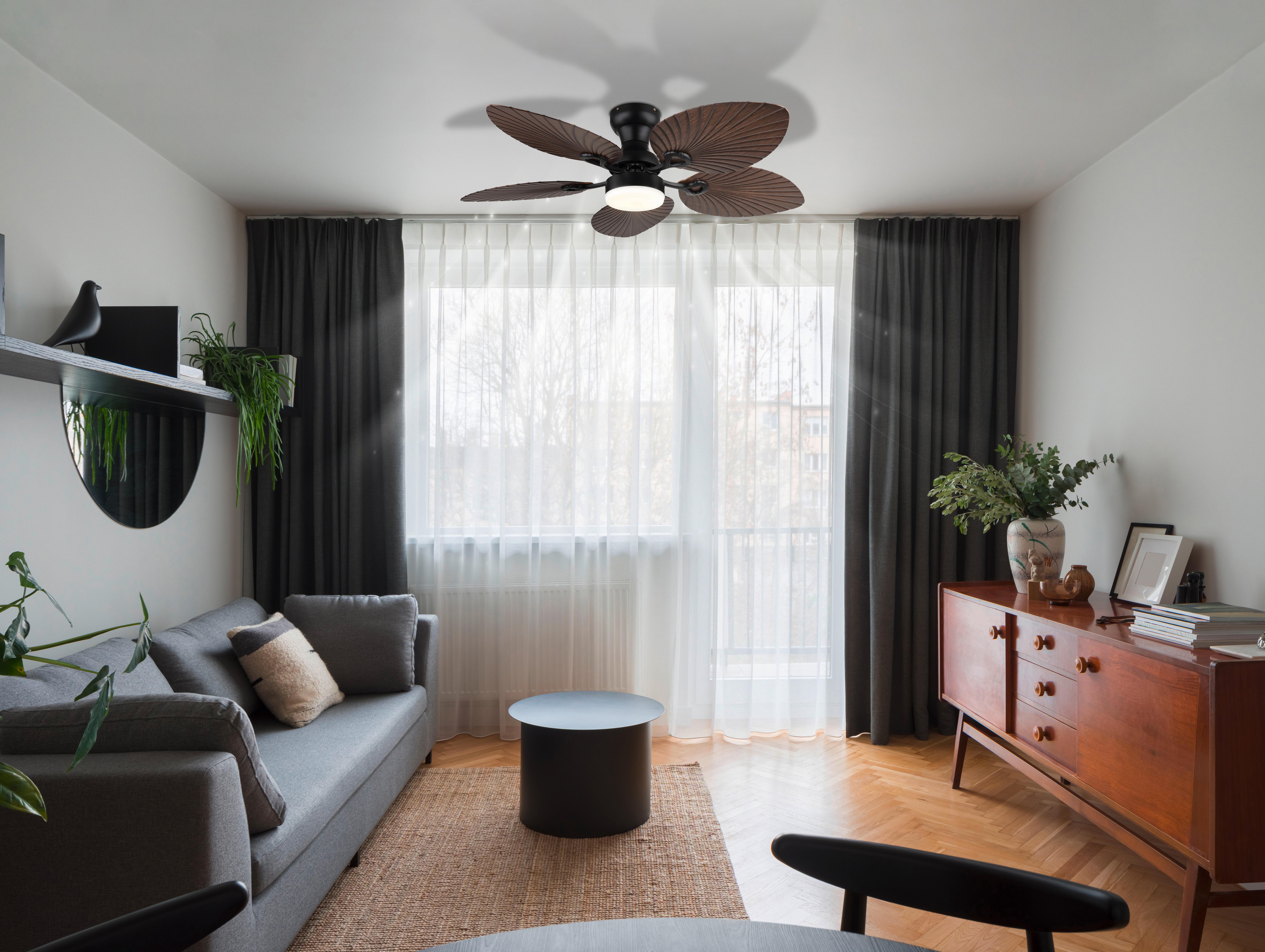 DECKENVENTILATOR 03672B ELISE - opale/noir, Konventionell, matière synthétique/métal (107/28,5cm) - Globo