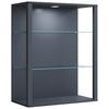 Viseča Vitrina Glasol L, Antracit - antracit, Design, steklo/leseni material (70/90/35cm) - MID.YOU