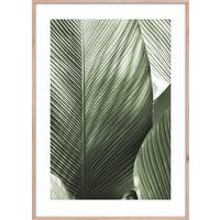OBRAZ ELENA - zielony/biały, materiał drewnopochodny/papier (50/70cm) - Mömax