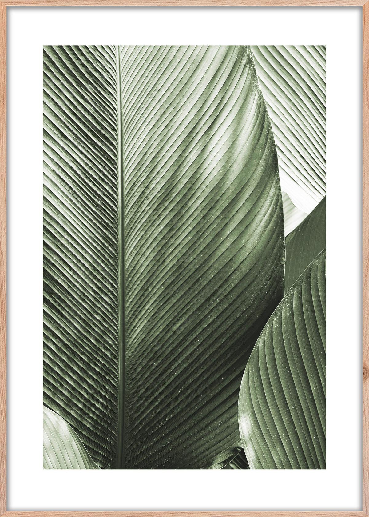 OBRAZ ELENA - zielony/biały, materiał drewnopochodny/papier (50/70cm) - Mömax