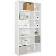 Regal Weiß - Alufarben/Weiß, MODERN, Holzwerkstoff/Kunststoff (113/220/37cm) - Premium Living Regal Weiß - Alufarben/Weiß, MODERN, Holzwerkstoff/Kunststoff (113/220/37cm) - Premium Living
