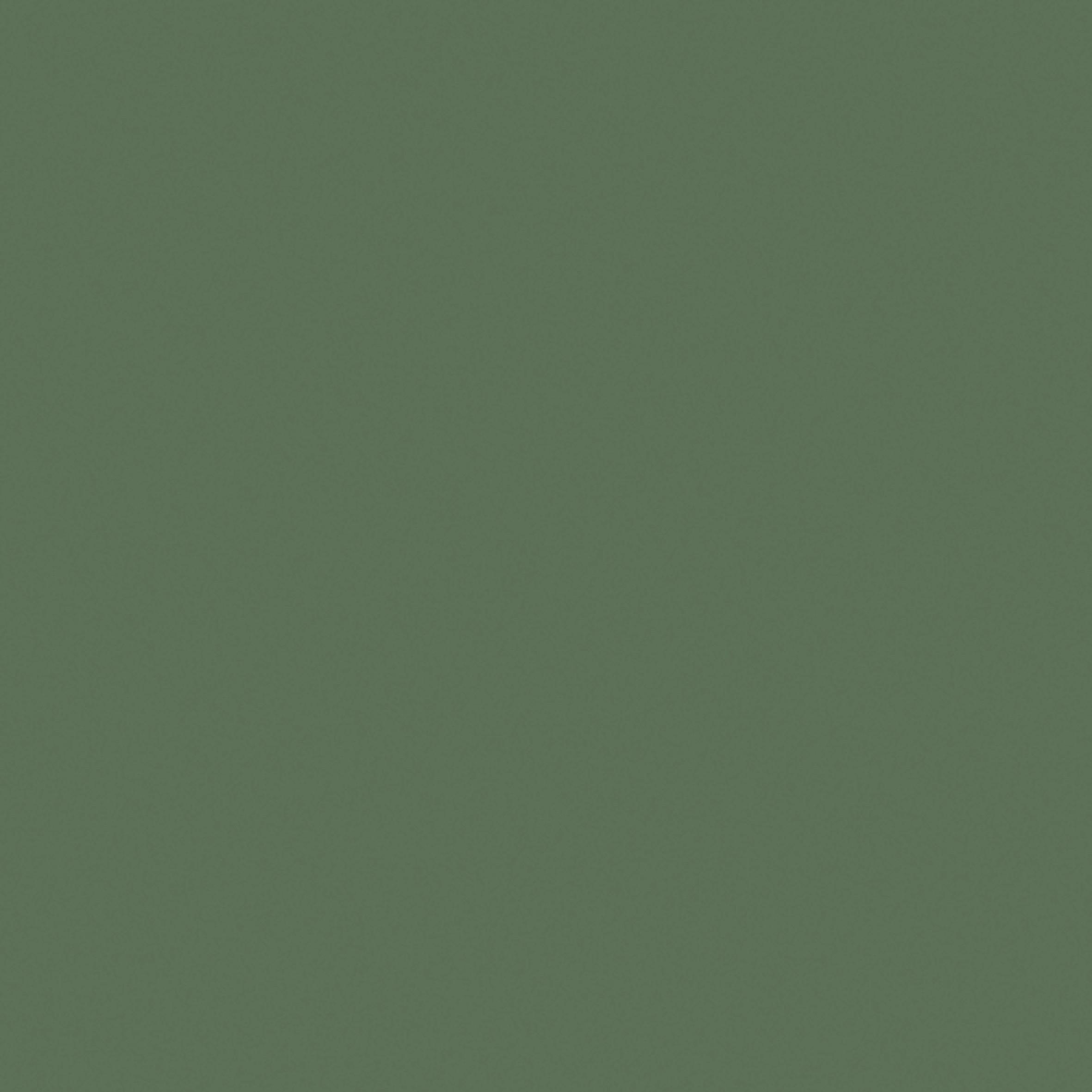 Falipolc Zöld Anja - Zöld, modern, Faalapú anyag (60/3,8/23,5cm) - Modern Living
