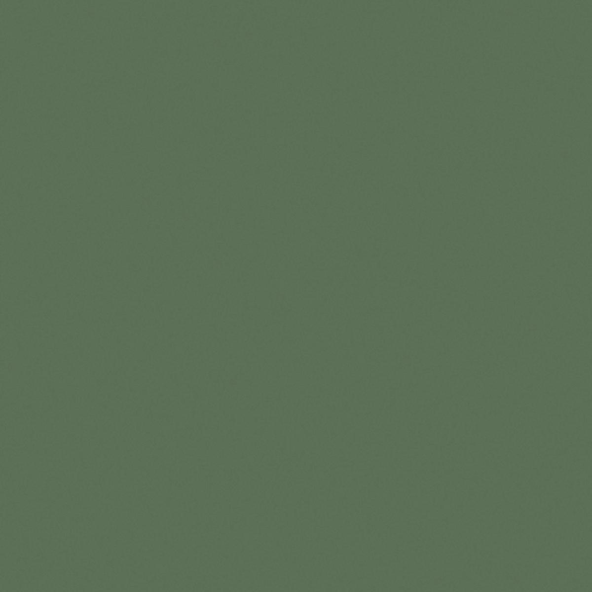 Poliță de perete ANJA -SB- - verde, Modern, material pe bază de lemn (80/3,8/23,5cm) - Modern Living