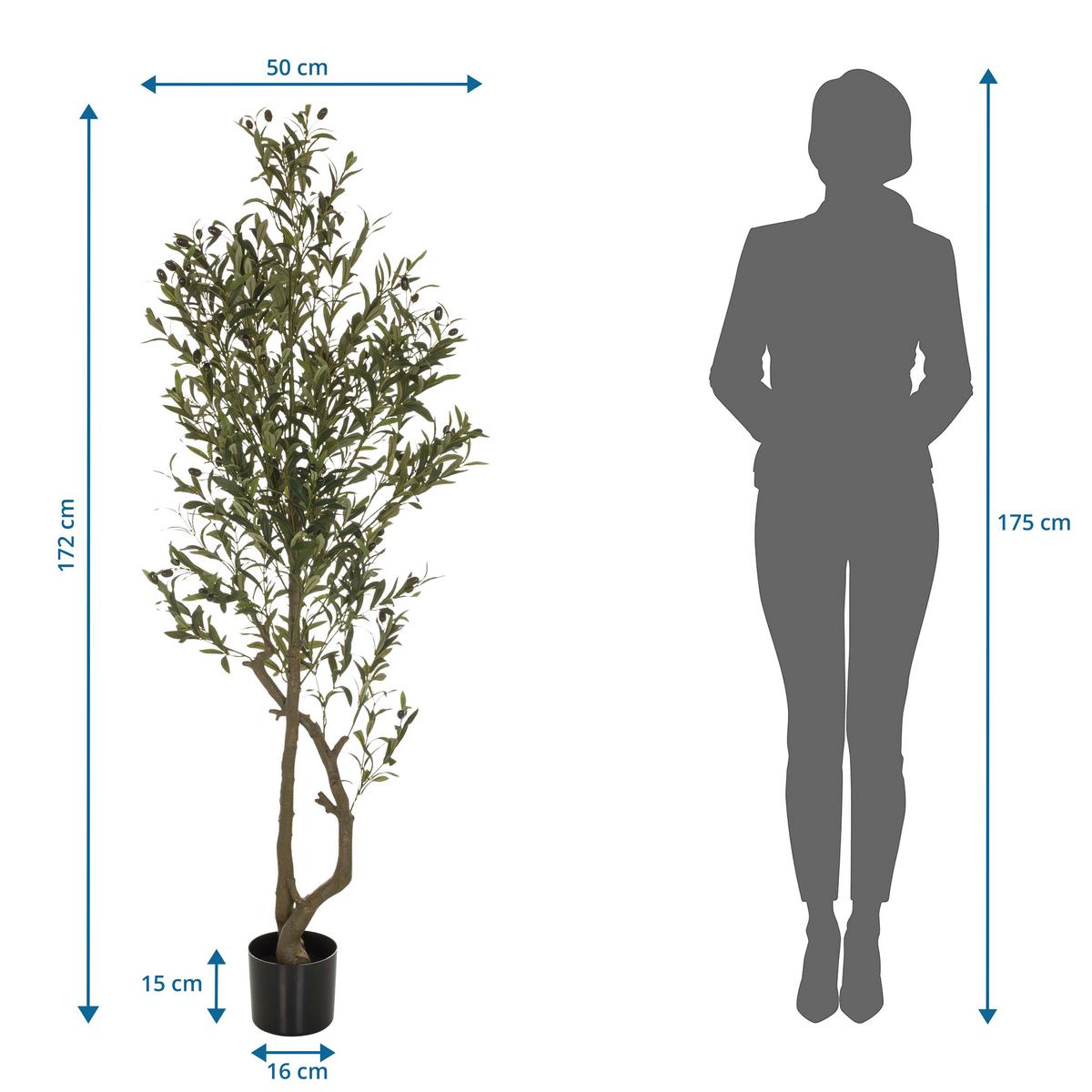 Umetna Rastlina Olive I - črna/zelena, Basics, umetna masa (50/172/50cm) - MID.YOU