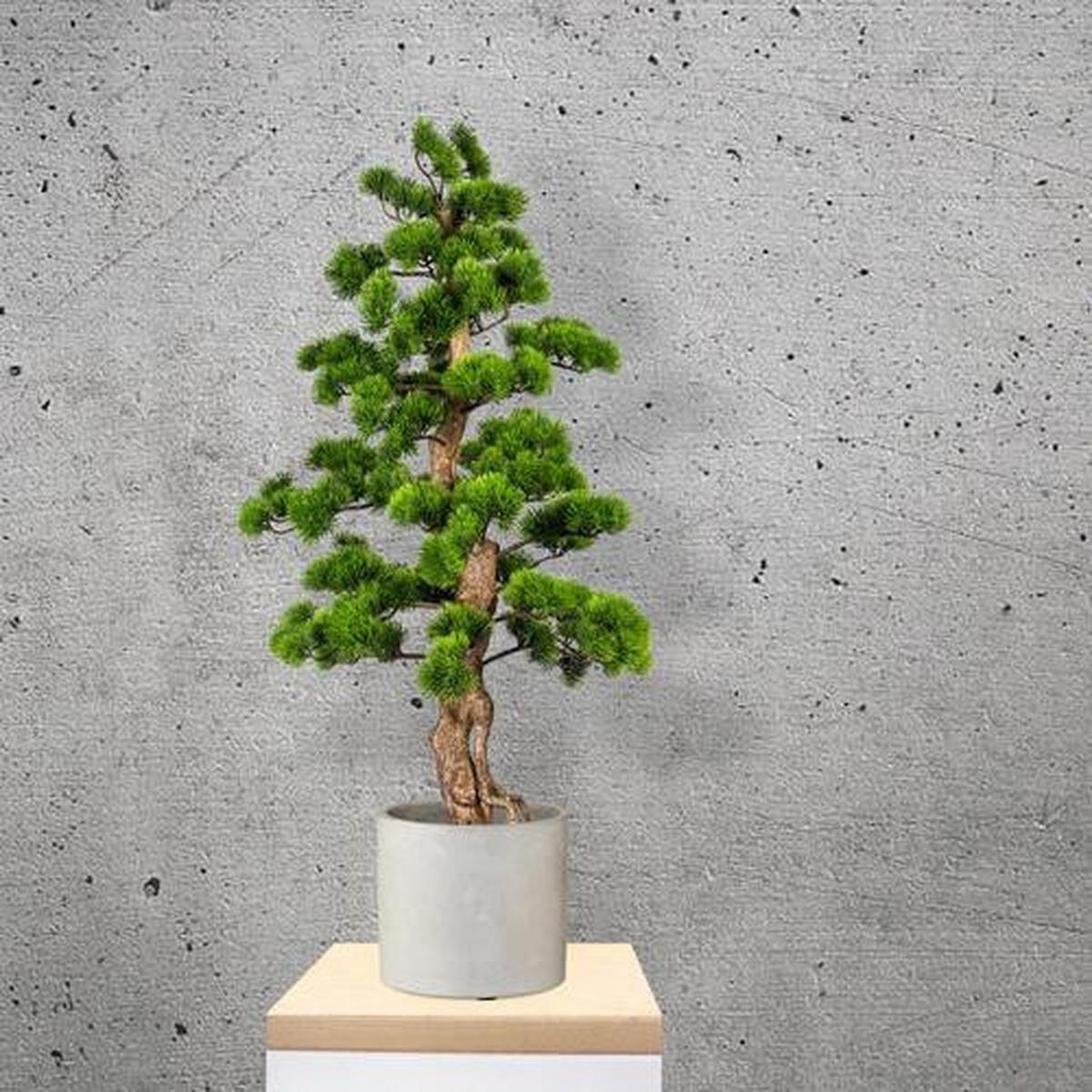Kunstpflanze Bonsai ca. 110cm - Schwarz/Braun, Basics, Kunststoff (50/110cm) - P & B