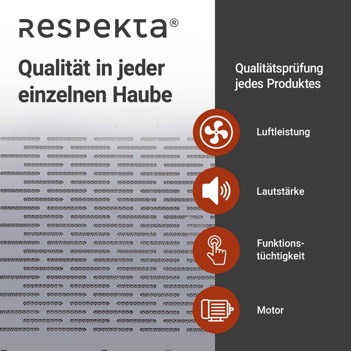 Dunstabzugshaube Suna ca. 60/7,6/47 cm Edelstahlfarben - Edelstahlfarben, Trend, Metall (60/7,6/47cm) - Respekta