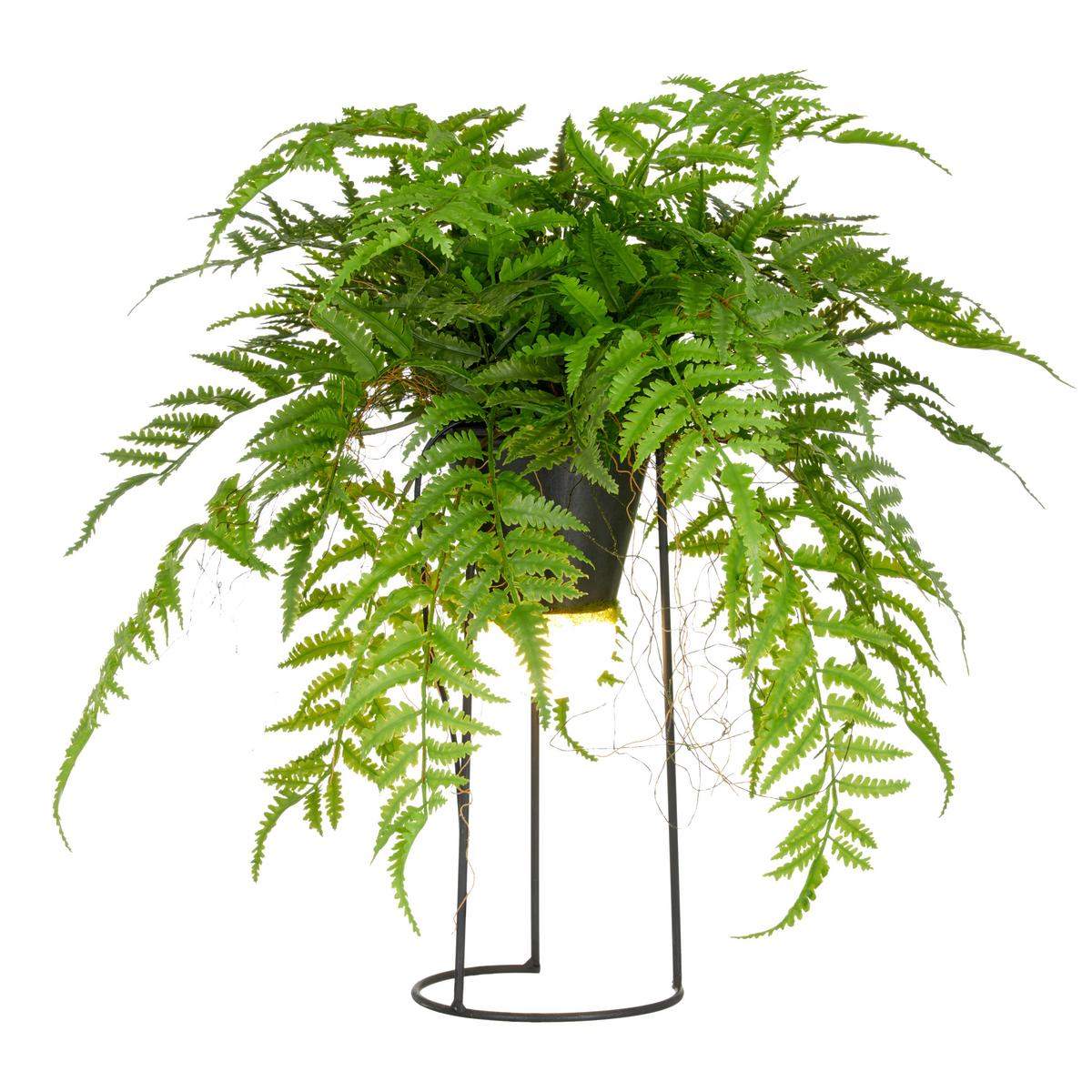 Kunstpflanze Farnmix Grün ca. 60cm - Schwarz/Grün, Basics, Kunststoff/Metall (60cm) - P & B